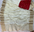Beautiful Handwork Chinnon Saree With Blouse