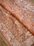 Beautiful Pure Organza Embroidery Silk Saree