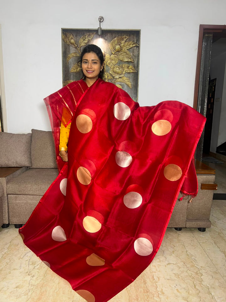 Beautiful Pure Silk Organza With Blouse