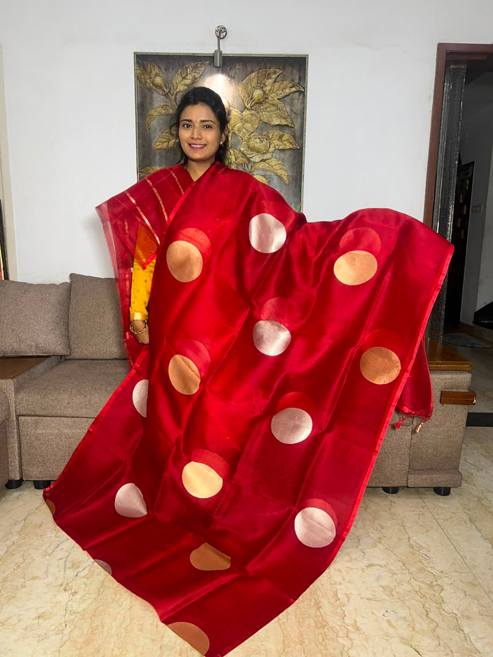 Beautiful Pure Silk Organza With Blouse