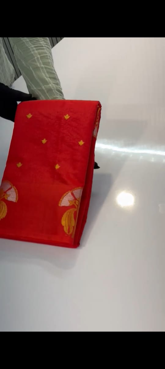 Beautiful Warm Silk Banarase Saree