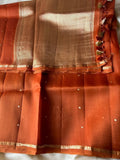 Beautiful pure silk organza with blouse