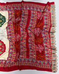 Beautiful Modal Mirror Work Bandhej Saree