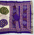 Beautiful Modal Mirror Work Bandhej Saree
