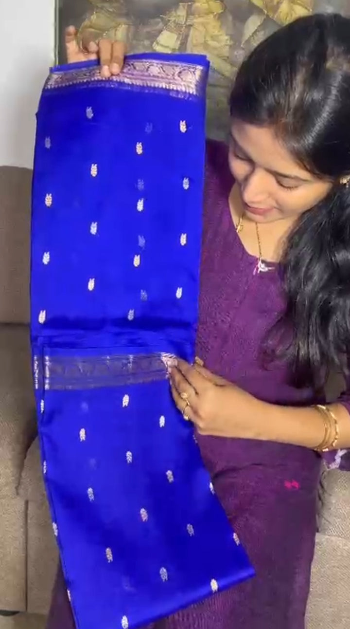 Beautiful Pure Silk Organza Kadwa Weaving (5 days pre booking)